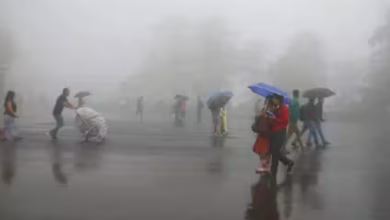 17223 monsoon