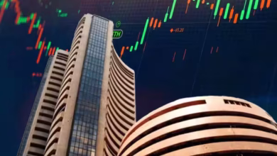 203084 bse graphic1200x900