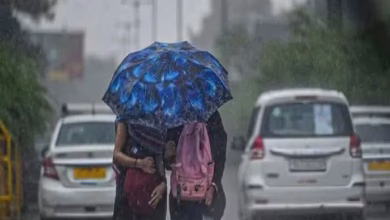 2379119 weather news