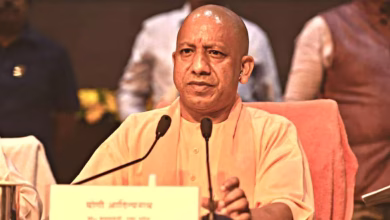 Cm yogi 4 sixteen nine