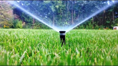 Drip irrigation1 0 sixteen nine