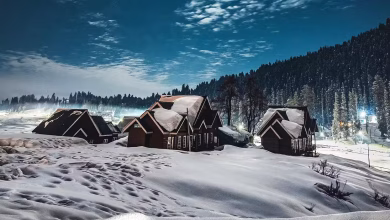 Snowfall 04d2b8ae3316ce512ce8d67d37a436b7