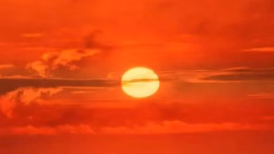 Sun 1