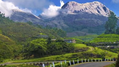 Almora 1549425578