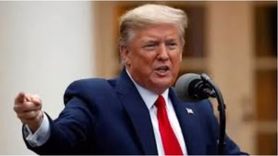 America donald trump usaid