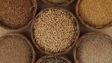 Millet
