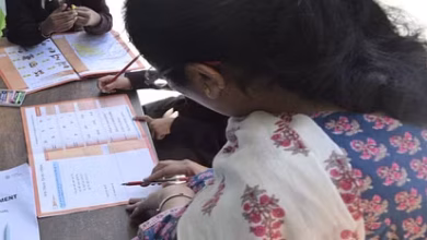 Teacher himachal ea6afc116827dcab3dff891a8e548044