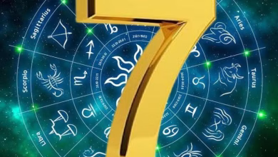 3342070 7