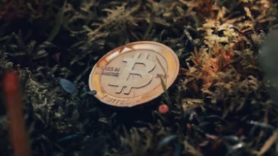 Bitcoin crypto market unsplash raphael wild large 1653635664008