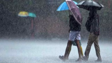 Up rain weather update 16 january 1737018732291 1737018732532