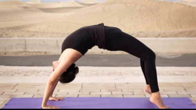 7107604 chakrasana