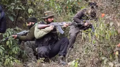 Hundreds terrorists jammu kashmir