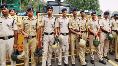Jobs 1497163158