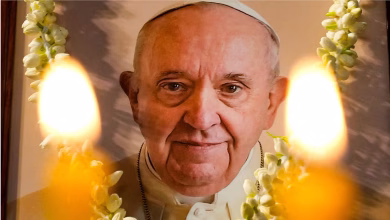 Papa farasasa a1587edec30345b48c1a51dd9d7d3e64