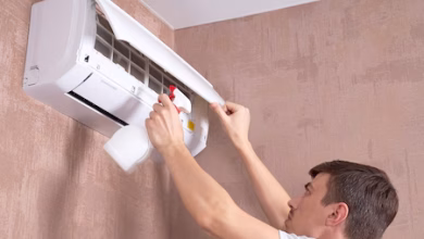 Shutterstock 1768384217