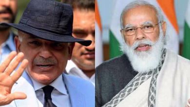 1427978 sharif modi