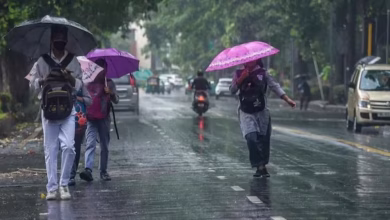 3903441 chhattisgarh weather 9