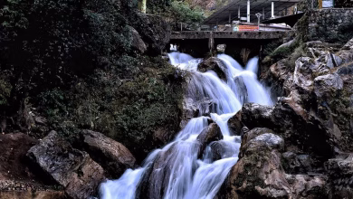3923547 mussoorie3