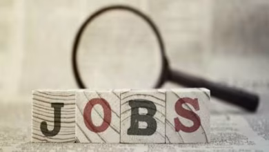 Chandigarh jobs