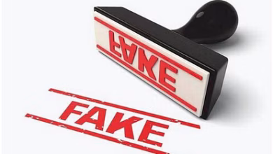 Identify real and fake image 1510635056