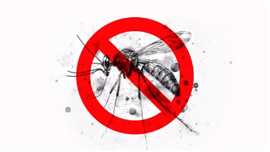Malaria mosquito dengue 17af52bd353b546af85e058b0bf7001a