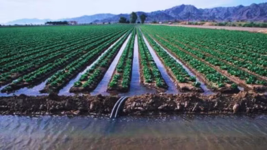 6830755eafece water 231713473 16x9 1
