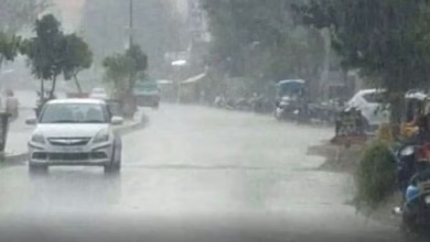 1332565 mp weather today