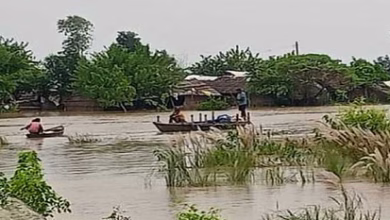 Floods a118b3410fa3e2a9fa8de9dfa142f5c7