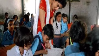 Para teacher 1704163758