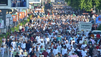 Urs e razvi 17eea5270a0f0300660c1e8195f26cd5