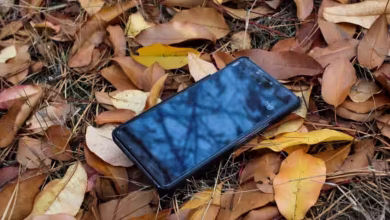 137647 mobile phone lost 1
