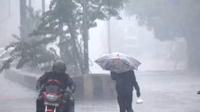 4079714 cgweather2