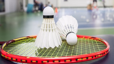 Badminton 1580577755