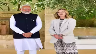 Modi meloni