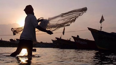 Fisherman 1665387555