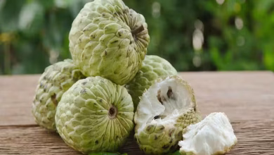 Sharifa
